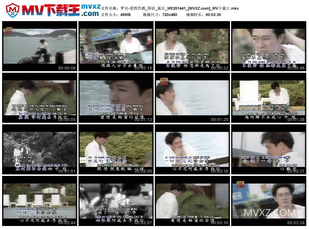 罗宾-爱的苦酒_国语_流行_ME201441